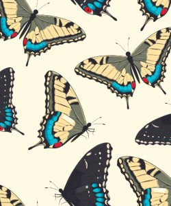 Colorful Butterflies